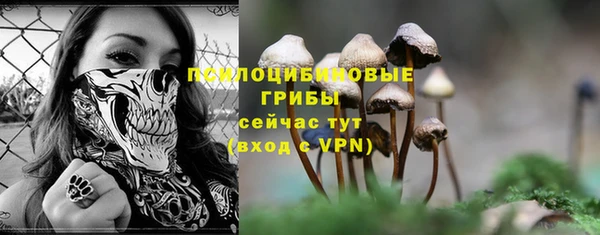ПСИЛОЦИБИНОВЫЕ ГРИБЫ Армянск