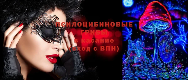 ПСИЛОЦИБИНОВЫЕ ГРИБЫ Армянск