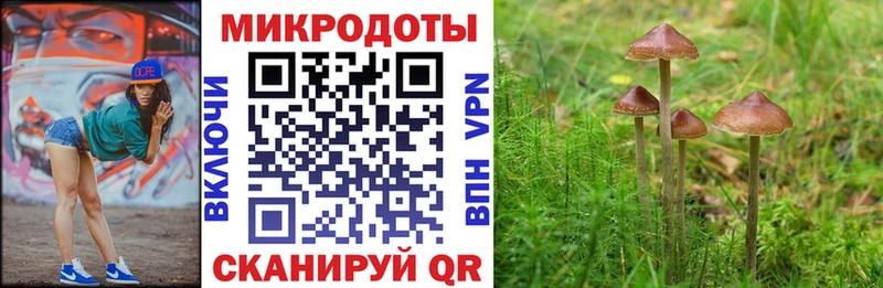 Псилоцибиновые грибы GOLDEN TEACHER  Порхов 